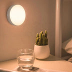 Round wall light fixture on a wall with a potted cactus and glass of water on a surface below.